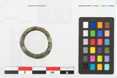 Foto von Bronzering (NHMW-PRAE-003472)
